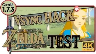 Zelda BoTW Almost stable 30FPS outside + H264 Plugin Test [Cemu 1.7.3] (Cutscene Spoiler)