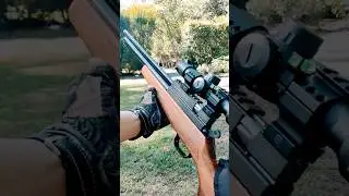 Evanix AR6K .22 Hunting Master (PART 3) #shorts  #targetshooting #plinking #airguns #pcp