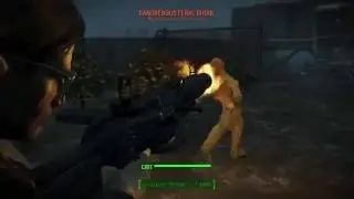 Fallout 4 OMFG Zerg Rushed