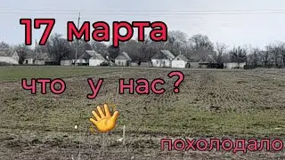 Сельская жизнь.Неспокойные дни.