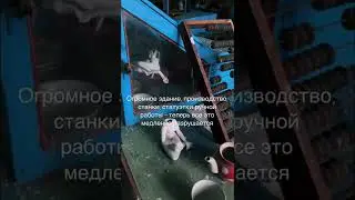Заброшенный фарфоровый завод с оставленной посудой 