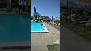 quando sei sbadato #short #shorts #pool #perte