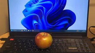 How to remove Apple from Windows!