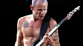 Red Hot Chili Peppers - Dark Necessities - Slap Bass lesson