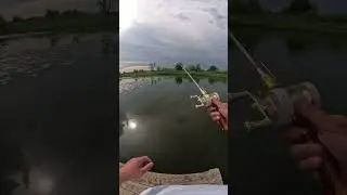 Такой только у меня и Николая Баскова  