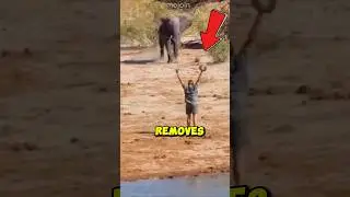 Elephant Attacked The Weong Man #shorts
