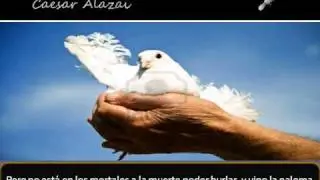 Caesar Alazai paloma mia.avi