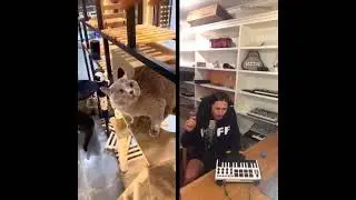 😸😸😸😸