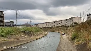 03328　20241114 Thu. 13:59 ~ 14:18　禁漁区域　河川敷散歩　三島市　台場川　新町橋から祇園橋まで　iPhone Kanji Hanano 花ノ莞爾 Mishima JP