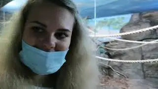 Влог: поездка в Океанариум
