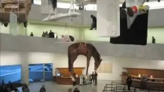 100 photos: Maurizio Cattelan @ The Guggenheim