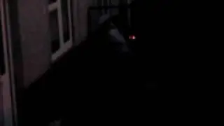 flaming bag of dog shit