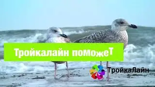 Тройкалайн напоминает что пора подумать об отпуске 👋