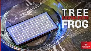 Digitalfoto Tree Frog Waterproof RGB Video Light