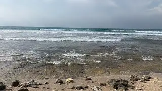 Репатриация в прямом эфире.
