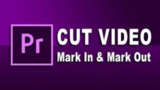 CARA CUT VIDEO, MARK IN & MARK OUT di ADOBE PREMIERE PRO [RayRiz]