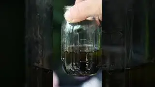 Nourishing Skin Serum Recipe for Radiant Skin