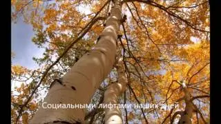 Люди и судьбы  Сондиана в психологическом консультировании