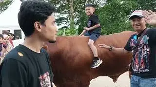 JALAN JALAN MAHA 2024