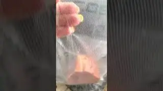 Немецкий вакуматор Caso