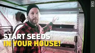 Starting Seeds Indoors | How To Set Up A GROW TENT!