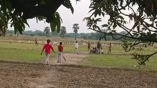 village cricket | village cricket Bihar | indian village cricket