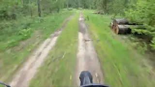 Эндуро прогулка по лесу