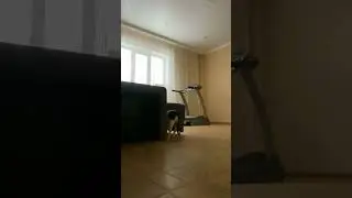 Я уби***😈