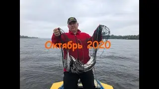 Осенняя чехонь на бомбарду 22 минуты одни поклевки