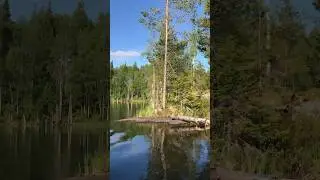 Как классно летом на озере