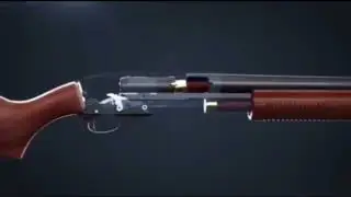 Shotgun memes