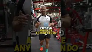 How To Track Macros and Food