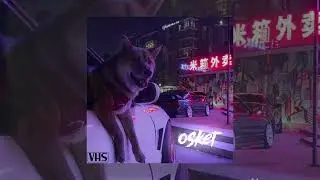Osker - Hypnagogic Haze