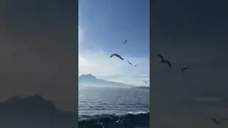 Люцернське озеро, Швейцарія 🇨🇭