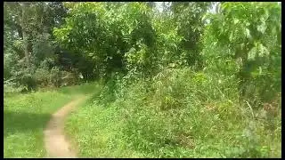 Akwata empola  ,plots Ku kibanja mpola bwosulako otandikirawo ojikozesa