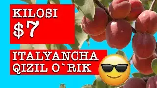 РУШКОТ ЎРИК НАВИ / RUSHKOT O`RIK NAVI