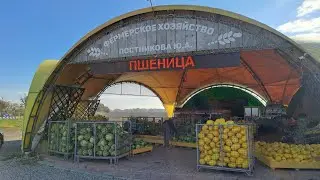 Что на рынках придорожных в Краснодарском крае 27.10 2024 г. !?
