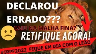 🔴CAÍ NA MALHA FINA e AGORA? Não recebi minha RESTITUIÇÃO – o que fazer para sair da Malha Fina?
