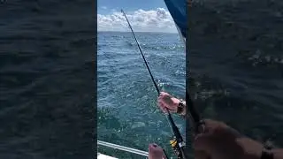 Cod Fishing in the Baltic Sea in Germany