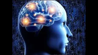 3 Hour Study Focus Music: Alpha Waves, Brain Music, Concentration Music, Calming Music, Focus, ☯2444