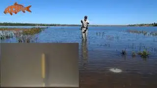 Fly Fishing for Carp Drag and Drop Presentation