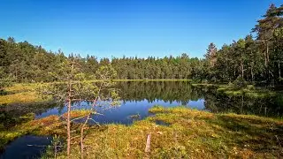 Šeirės pažintinis takas / Piktežerio apžvalgos aikštelė (2023)