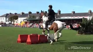 Клип для любителей лошадей.