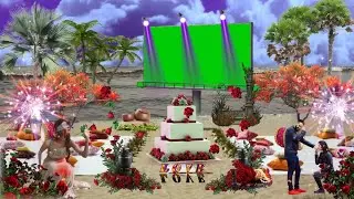 wedding green screen effects backgrounds 4k hd video