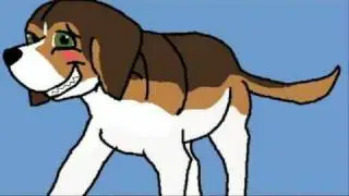Funny Dog Animation