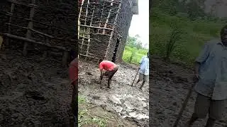 Wodulo Dream Build Martin Africa Poultry House Construction