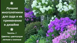❀ Лучшие многолетние цветы для сада и их применение в дизайне. Ч. 3. Цветы, цветущие летом и осенью