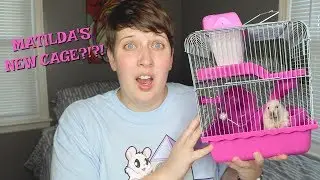 PUTTING MY HAMSTER IN THE SMALLEST CAGE EVER