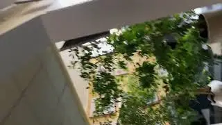 КРУТОЕ ВИДЕО!! Я ЗАЛИПАЮ!!