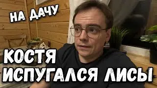 Костя испугался бешеной лисы на даче. Дачный влог о загородной жизни и шашлыки. Дачный сезон 2024